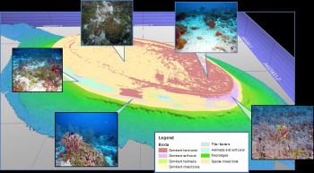Habitat map of a shoal