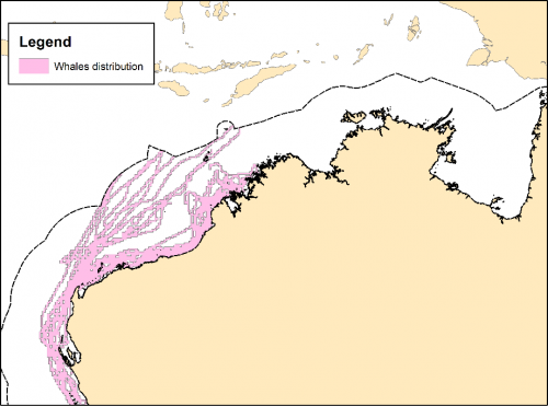 Area used by whales 