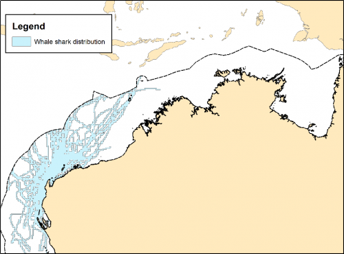 Area used by whale sharks